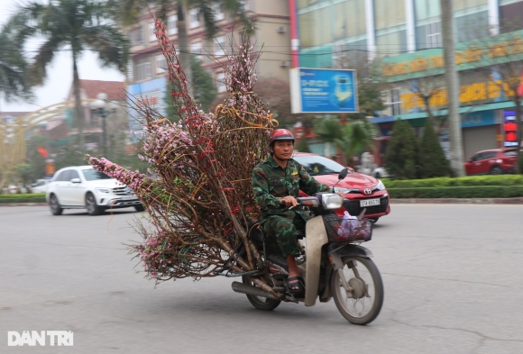 5 Nghe An Vang Bong Khach Mua Nguoi Ban Dao Treo Bien Xa Lo